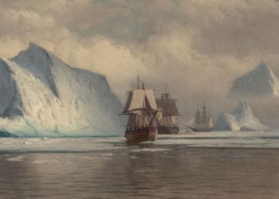 Sailing Ships In Arctic