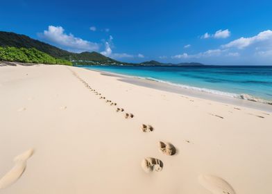 Sandy Sea Beach footprints