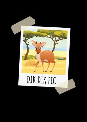 Funny Dik Dik Pic Antelope