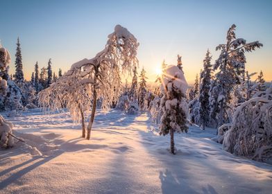 Winter Wonderland Sunset