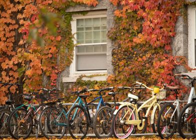 Bikes at Battell 