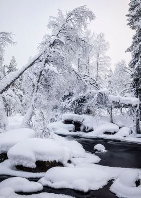 Winter Wonderland River 3