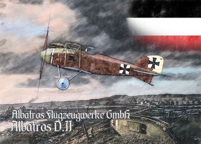 Albatros D II