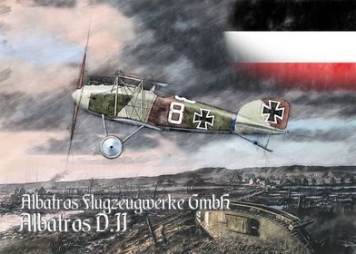 Albatros D II