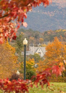 Fall Foliage 