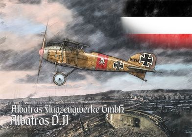 Albatros D II