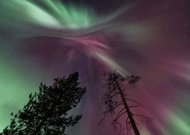 Red and Green Auroras