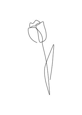 Tulip flower one line art