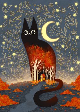 The night and the cat