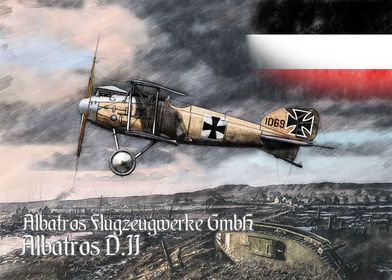 Albatros D II