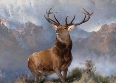 The Monarch of the Glen