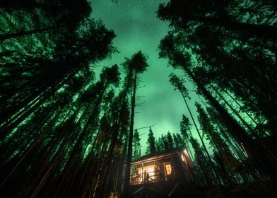 Cabin in the Aurora Woods