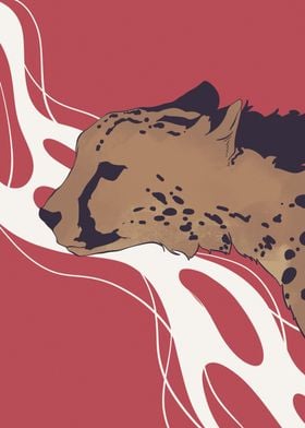 cheetah