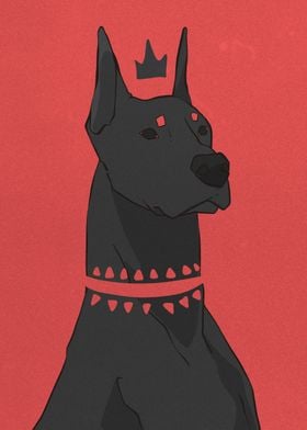 black doberman