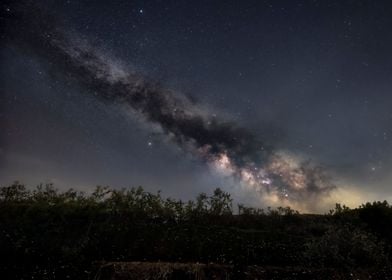 Fireflies under Milky Way