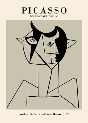 Picasso