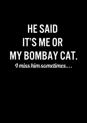 Funny Cats My Bombay Cat