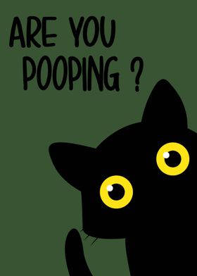 Funny Pooping Cat Animals