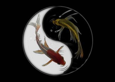 Koi Fish Yin yang