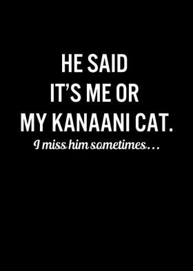 Funny Cats My Kanaani Cat