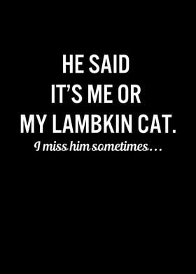 Funny Cats My Lambkin Cat