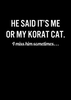 Funny Cats My Korat Cat
