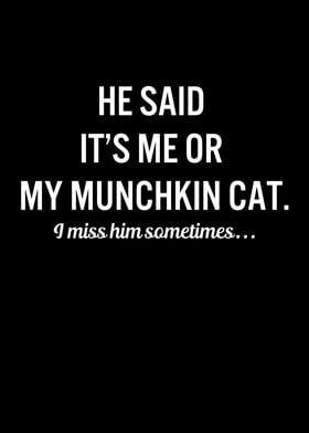 Funny Cats My Munchkin Cat