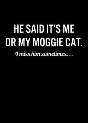 Funny Cats My Moggie Cat