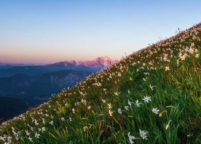 Mountains in the Sunset