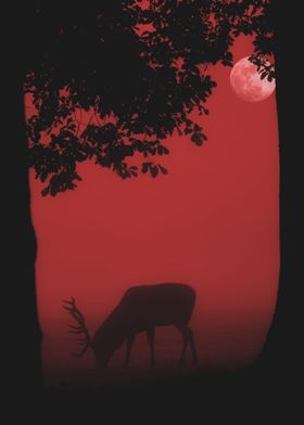 Framed Deer