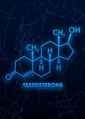 Testosterone Masculinity