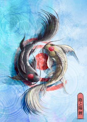 Yin yang koi fish Japan