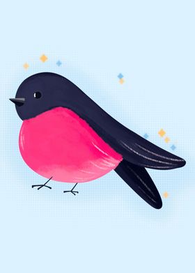 Pink robin bird