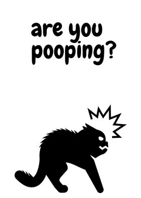 Black Cat Are You Pooping
