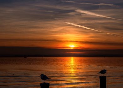 SUNSET OVER LAKE CONSTANCE