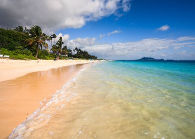 Tropical beach Oahu Hawaii