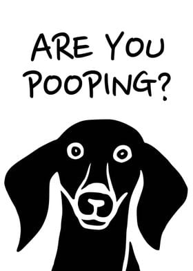 Are You Pooping Dachshund