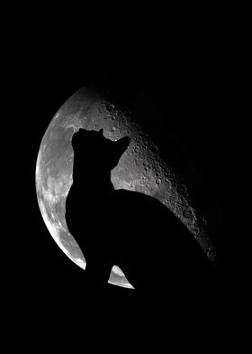 Black cat and moon