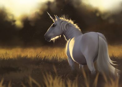 Unicorn in a Field