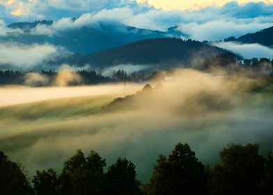 Foggy Landscape Dream