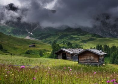 Flowers and Scenery