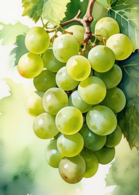 Vineyard Cluster