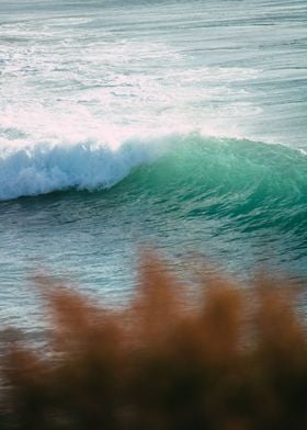 Cresting Ocean Wave