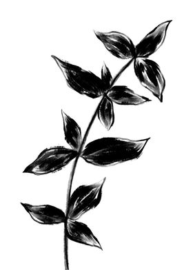 Black Ink Plant Two