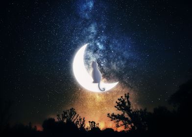 Fantasy Night Cat