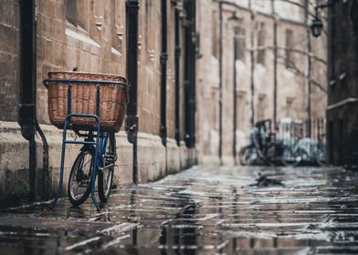 rain street bicycle basket