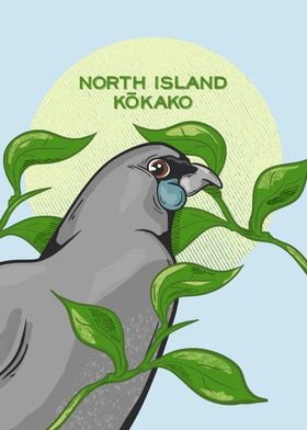 North Island Kokako