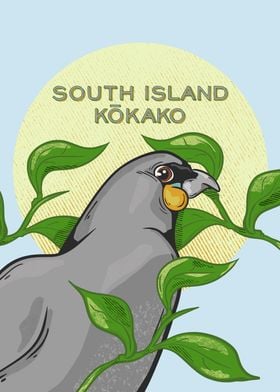 South Island Kokako