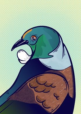 Tui NZ bird