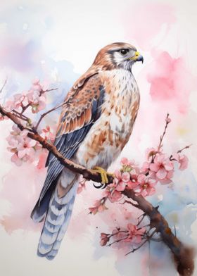 Falcon Bird Watercolor